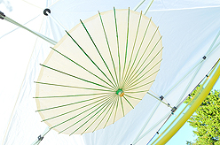 LAURELHURST SALMON BAKE 2015